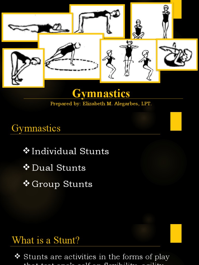 Gymnastics pdf gymnastics physical exercise