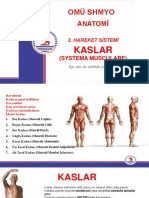 Kaslar PDF