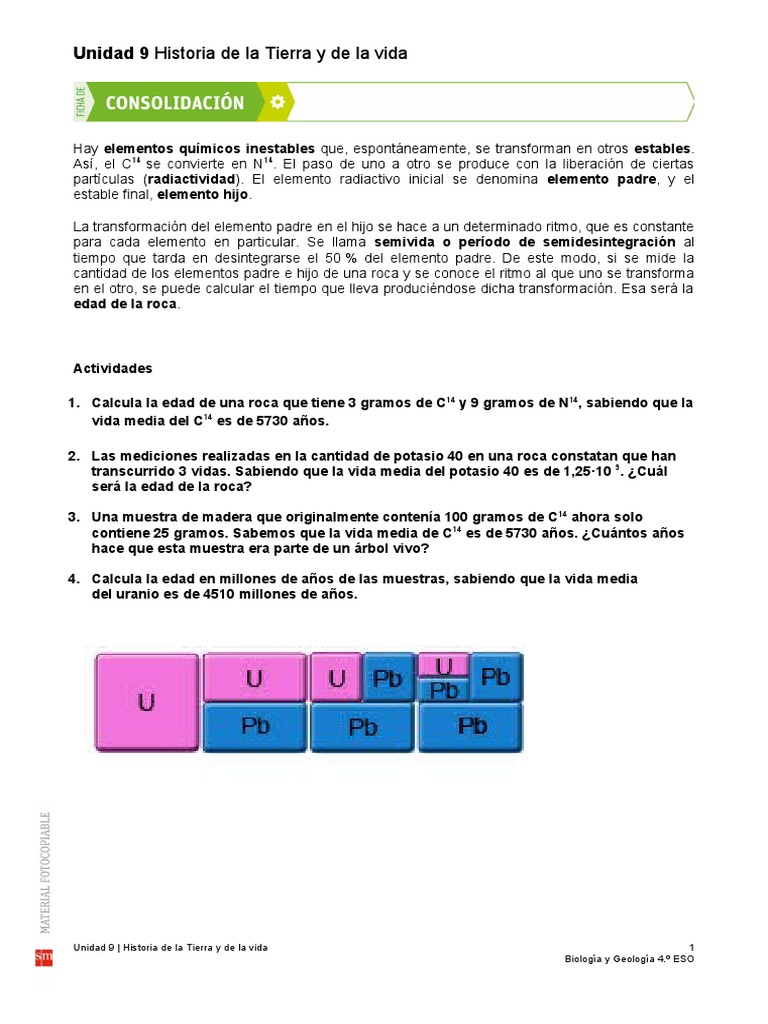 Hoja De Trabajo De Datación Radiactiva