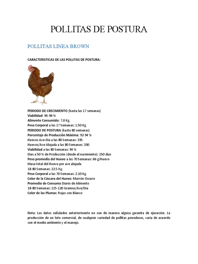 Características de Pollitas de Postura | PDF | Aves | Ornitología