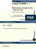 Praktikum BMS 1 - Proliferasi, Diferensiasi, Apoptosis Dan Nekrosis Sel
