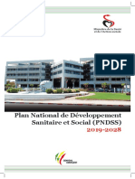 PNDSS 2019 2028 PDF