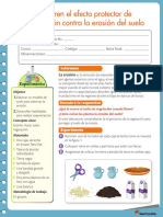 5° Efecto Protector de La Vegetación PDF