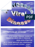 Newcastle Disease (NCD