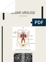 Dasar Urologi - FM