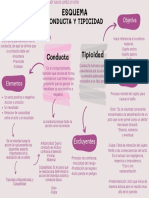 Esquema Conducta y Tipicidad