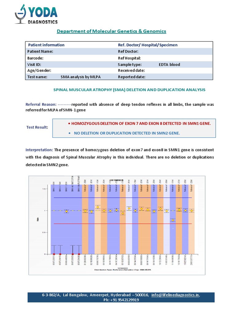 MLPA Dummy Report PDF Biotechnology