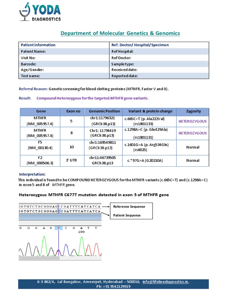 Sanger Dummy Report PDF Zygosity