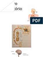 Aula 11 PDF