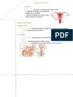 Reproduçao Humana