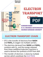 Electrontransportchain 151027073626 Lva1 App6892