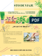 Costo de Viaje PDF