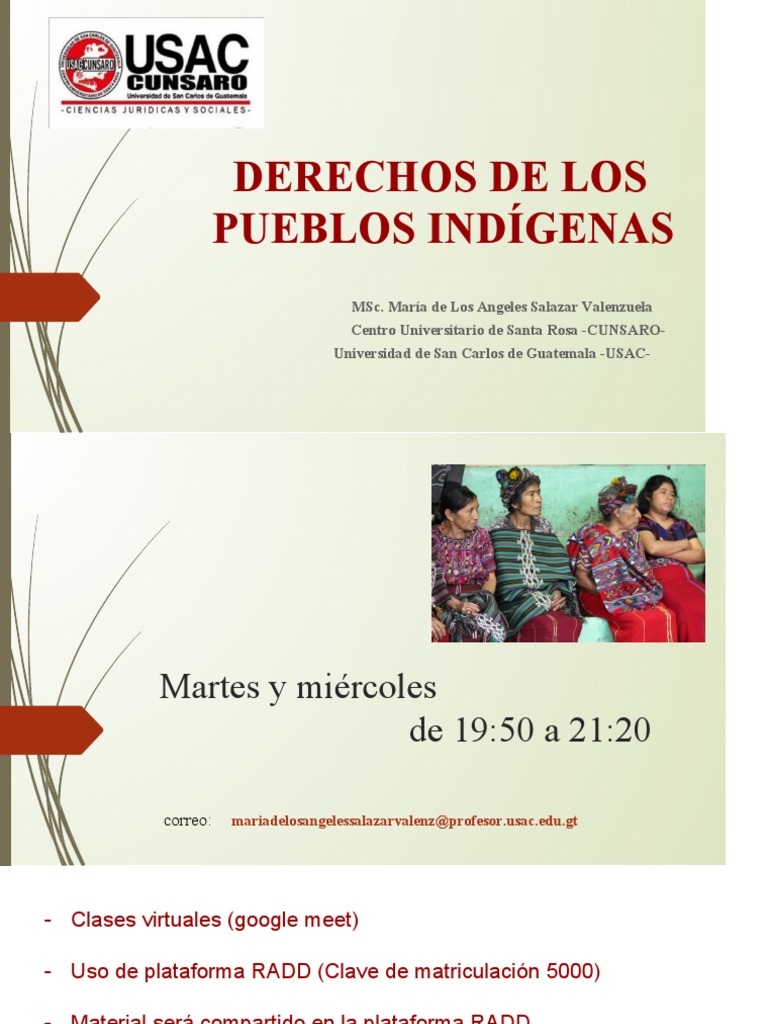 Derecho de Los Pueblos Indígenas | PDF | Derechos humanos | Derecho ...