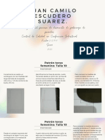 Álbum Digital de Procesos PDF