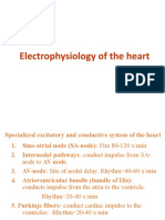 Electrophysiology of The Heart