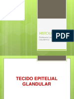 Aula 03 Glandular PDF