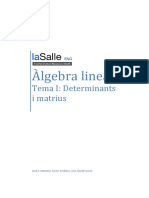 Algebra Lineal - Tema I Determinants I Matrius