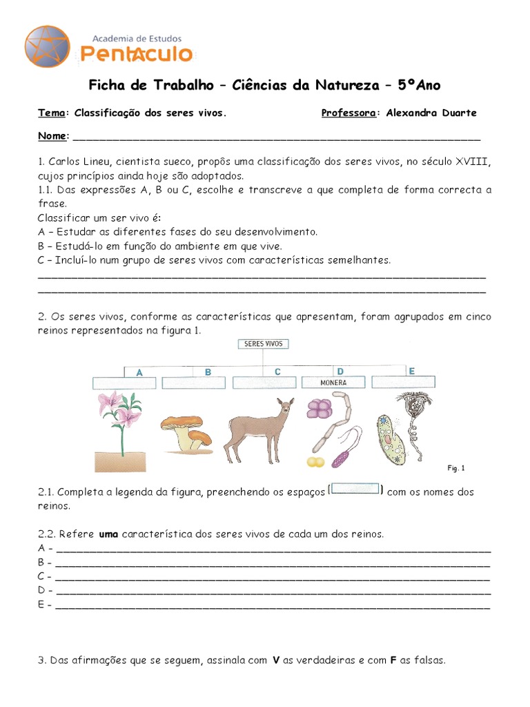 Classificação Dos Seres Vivos - Ficha Nº19 | PDF | Taxa | Organismos