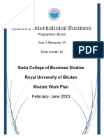 IBS301 International Business Work Plan 2023