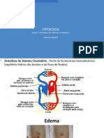 Distúrbios circulatórios: edemas, hiperemias e hemorragias