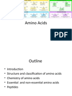 01 Amino Acids