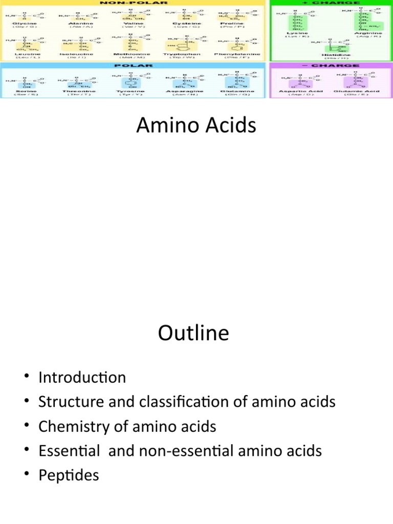 01 Amino Acids | PDF | Amino Acid | Acid