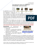 Manejo Nutricional UVT PDF