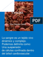 Sangre Ngeneralidades Dra Caldiz PDF