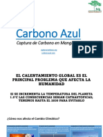 Captura de Carbono en Manglares para El Cambio PDF