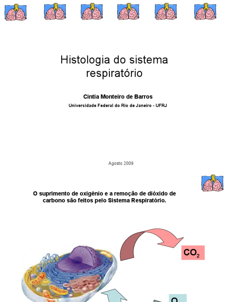 Histologia Do Sistema Respiratório Pdf Laringe Sistema Respiratório