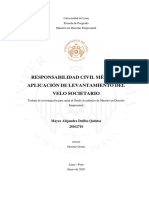 Responsabilidad Civil Médica y El Levantamiento Del Velo Societario - Mayra Duffoo