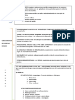 Esquema Derecho Indiano