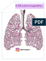 Farmacología sistema respiratorio