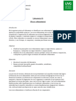 Lab 3 Rocas Sedimentarias I