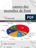 Les Causes Des Incendies de Foret