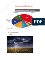 Les Causes Des Incendies Des Forets