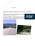 Documento de Marcela Carlini PDF