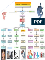 Obstáculos Socioculturales. (Mapa Conceptual) Cadena Dora.2023