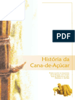 Folder Cana de Acucar PDF