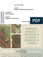 Micro, Meso y Maso Causas de Las Pda PDF