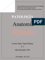 Aparato Reproductor