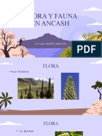Flora y Fauna en Ancash