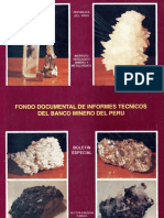 Fondo Doc Informes Tecnicos-Banco Minero-1993 PDF