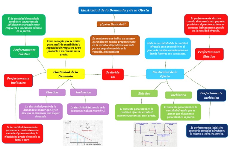 Elasticidad de la Demanda y Oferta | PDF | Elasticidad (economía ...