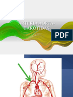 Presentación1 anatomia.pptx