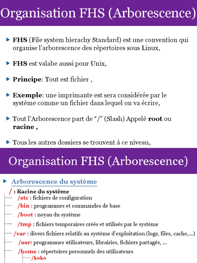 Arborescence FHS sous Linux | PDF | Fichier informatique | Répertoire ...