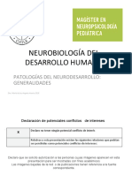 NEURODESARROLLO MAGISTER Env PDF