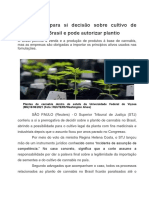 STJ Chama para Si Decisão Sobre Cultivo de Cannabis No Brasil e Pode Autorizar Plantio