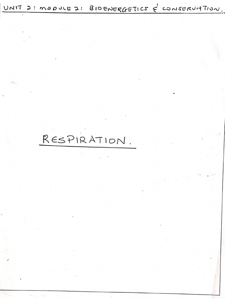 Biology Notes 2 Respiration Pdf Pdf