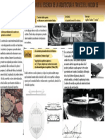 Lectura Analisis y Proyecto PDF